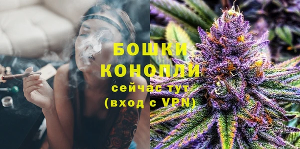 хмурый Гусь-Хрустальный