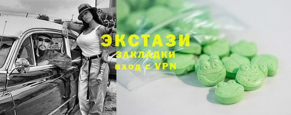 хмурый Гусь-Хрустальный