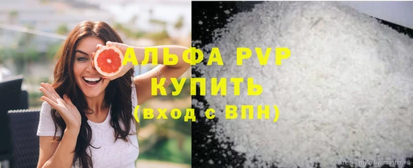 хмурый Гусь-Хрустальный