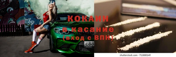 хмурый Гусь-Хрустальный