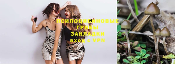 а пвп мука Гусев
