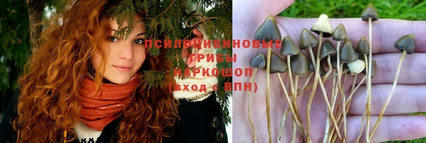 а пвп мука Гусев