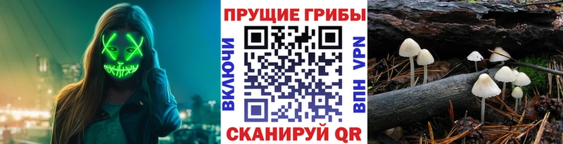 Купить  Каргат  Галлюциногенные грибы мухоморы 