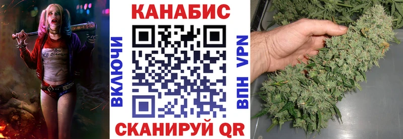 Шишки марихуана семена  Купить где  Каргат 